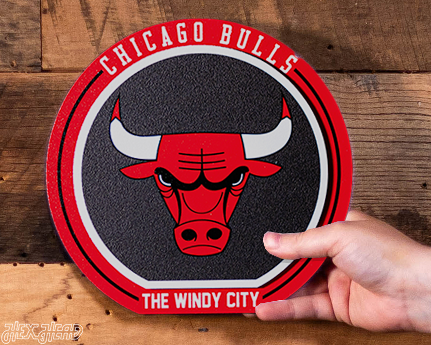 Chicago Bulls "Double Play" On the Shelf or on the Wall Art