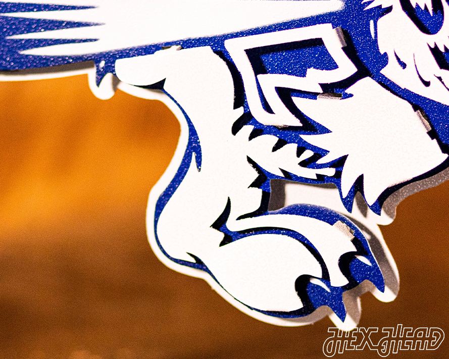 Air Force Academy Vintage Falcon Mascot Metal Wall Art