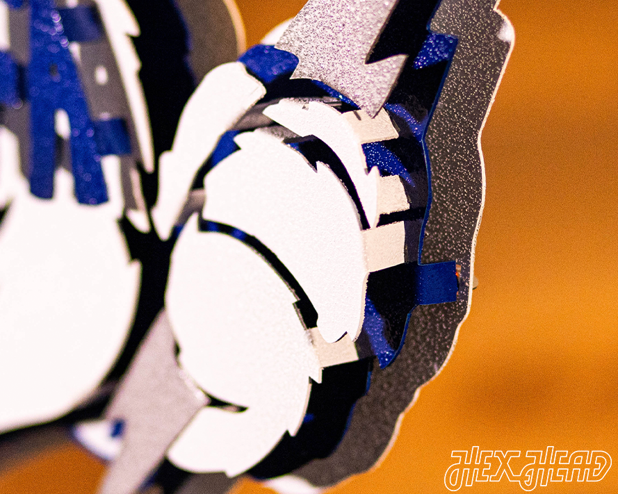 Air Force Academy Vintage Falcon Mascot Metal Wall Art