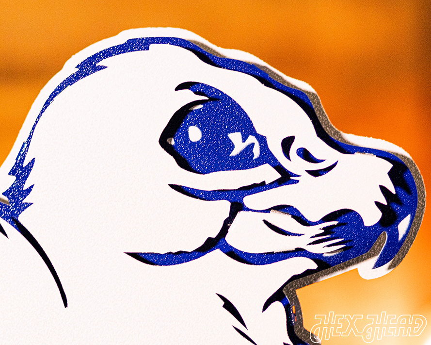 Air Force Academy Vintage Falcon Mascot Metal Wall Art