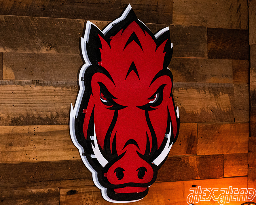 Arkansas Razorbacks Mascot 3D Vintage Metal Wall Art