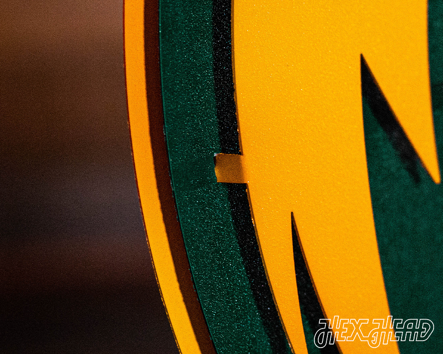 Baylor Bears Mascot 3D Metal Wall Art