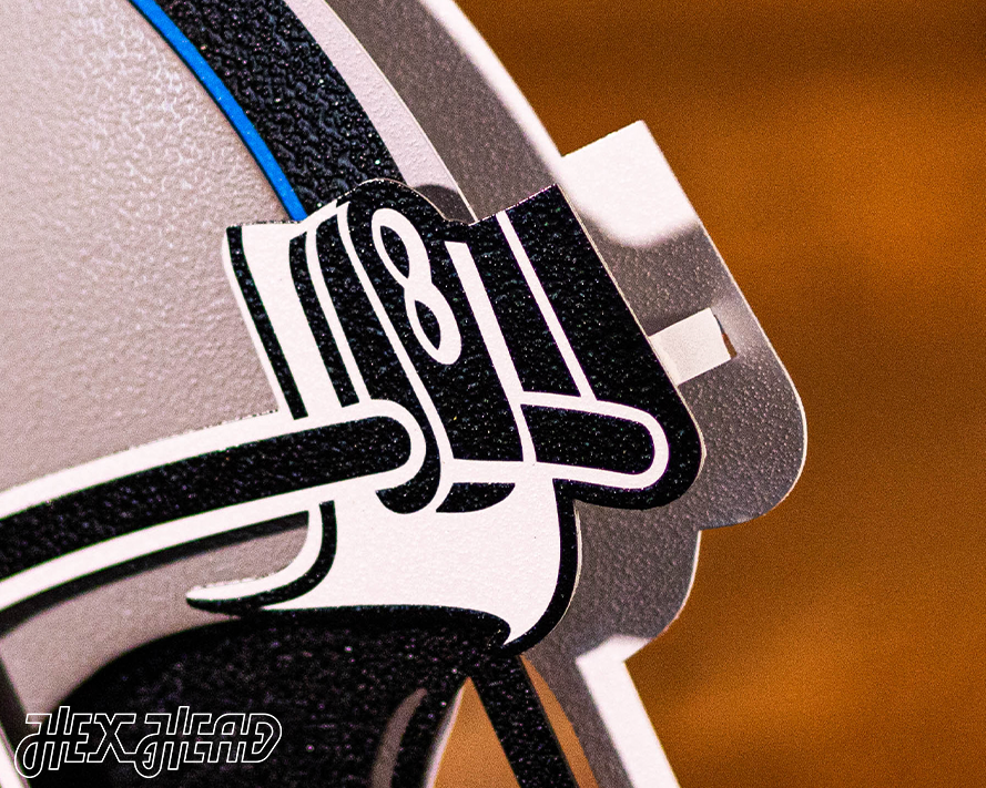 BLITZ Collection - 8 Layer Carolina Panthers Helmet 3D Vintage Metal Wall Art