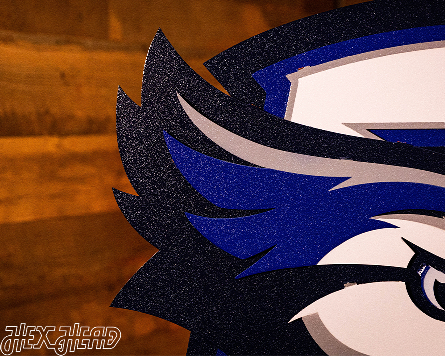 Creighton Bluejays 3D Vintage Metal Wall Art