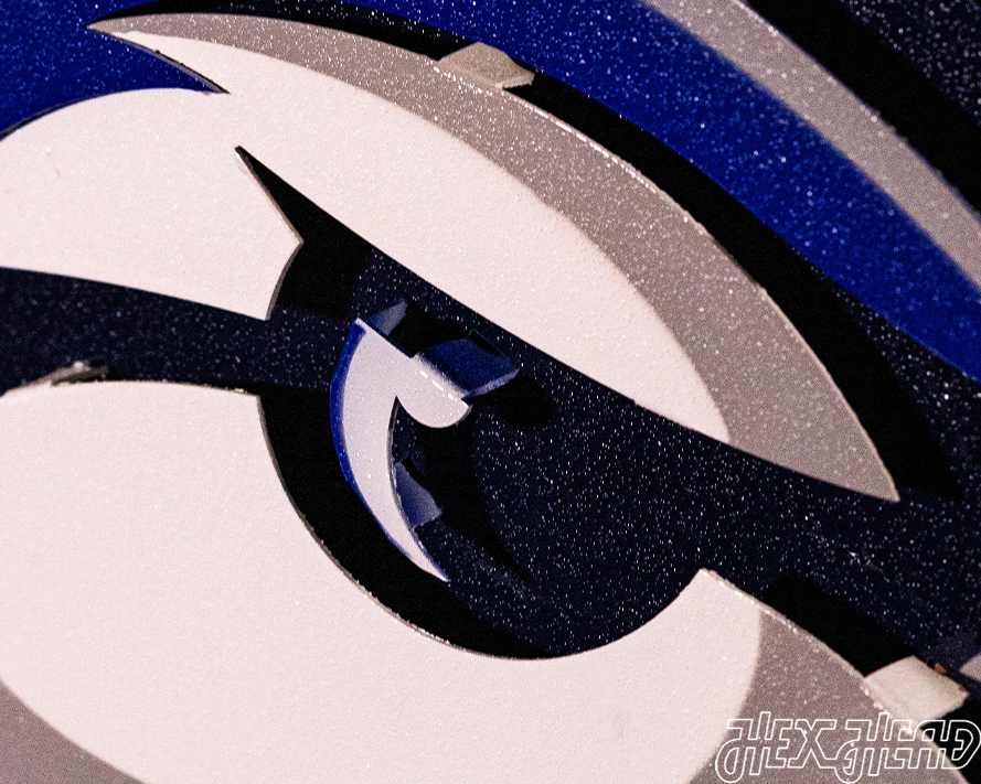 Creighton Bluejays 3D Vintage Metal Wall Art