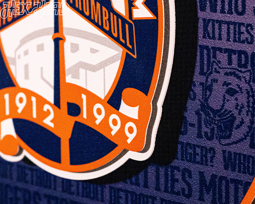 Detroit Tigers CRAFT SERIES Tiger Stadium 3D Embossed Metal Wall Art