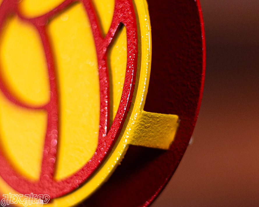 Manchester United FC 3D Vintage Metal Wall Art