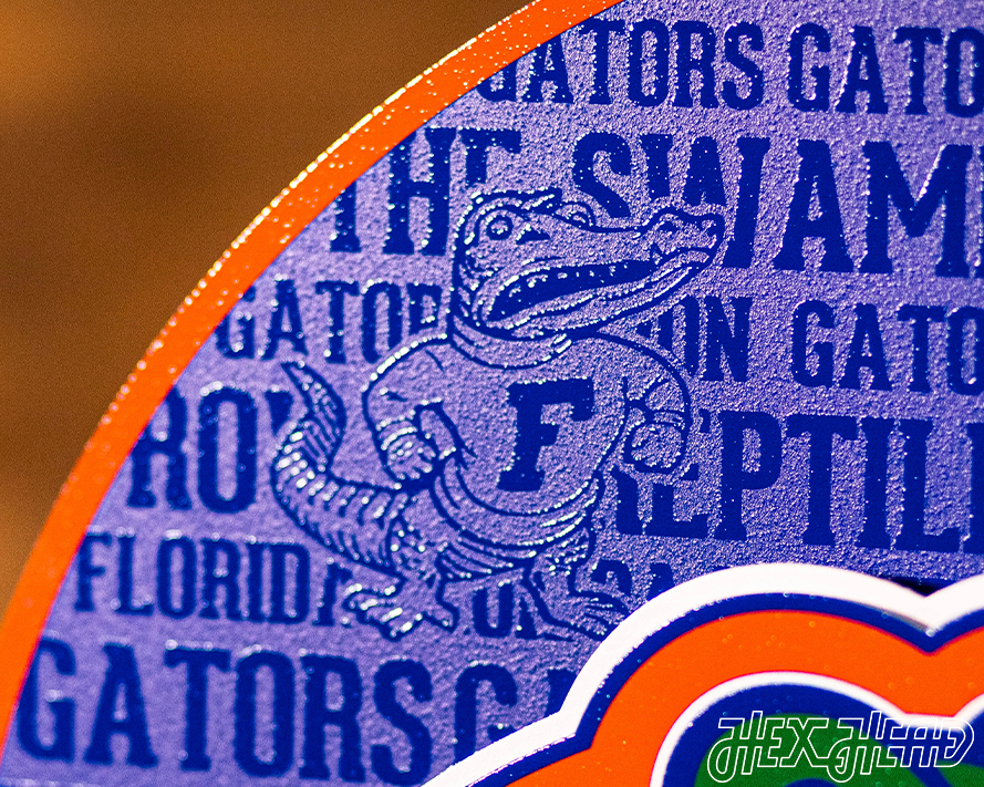 Florida Gators CRAFT SERIES 3D Vintage Metal Wall Art