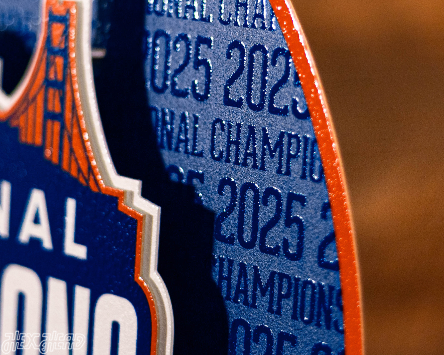 Florida Gators 2025 National Champ CRAFT SERIES 3D Vintage Metal Wall Art