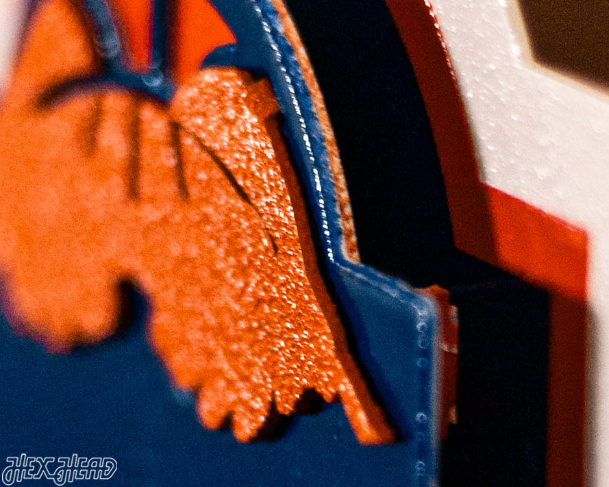 Florida Gators 2025 National Basketball Champions 3D Vintage Metal Wall Art