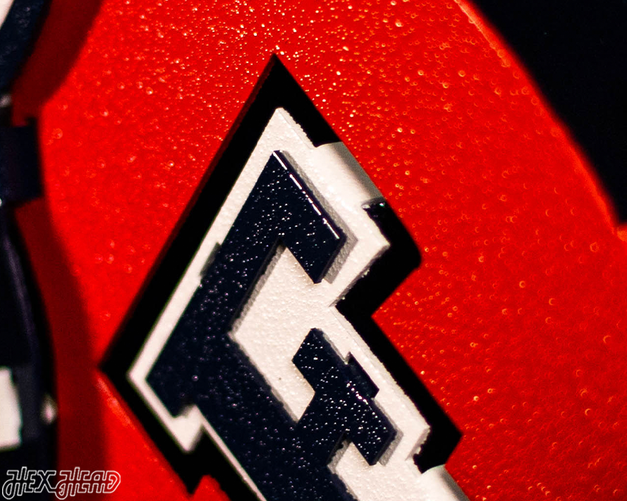 Fresno State "Victor E. Bulldog" Mascot 3D Vintage Metal Wall Art