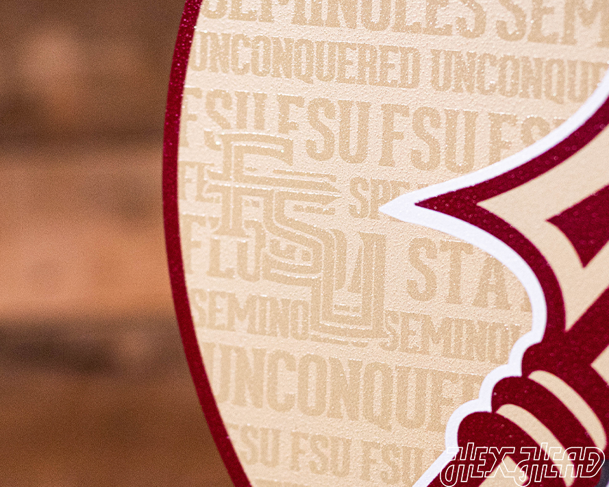 Florida State Seminoles CRAFT SERIES 3D Vintage Metal Wall Art