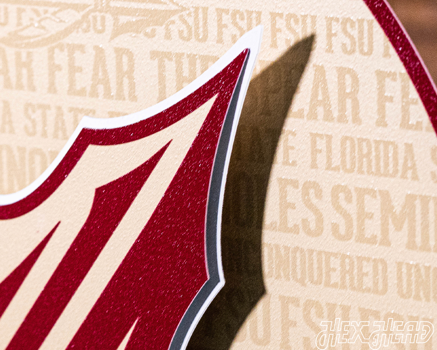 Florida State Seminoles CRAFT SERIES 3D Vintage Metal Wall Art