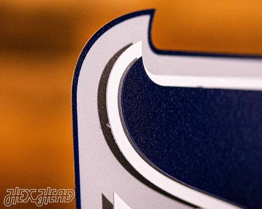 Hartford Whalers 3D Vintage Metal Wall Art