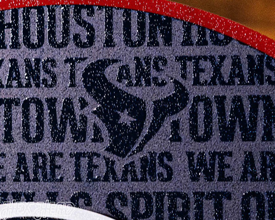 Houston Texans CRAFT SERIES 3D Embossed Metal Wall Art