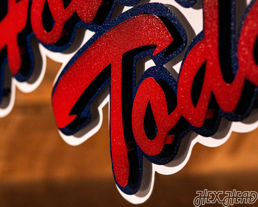 Ole Miss "Hotty Toddy" on Mississippi 3D Vintage Metal Wall Art