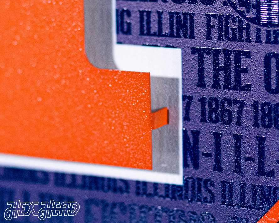 Illinois Fighting Illini Block "I" in ORANGE CRAFT SERIES 3D Vintage Metal Wall Art