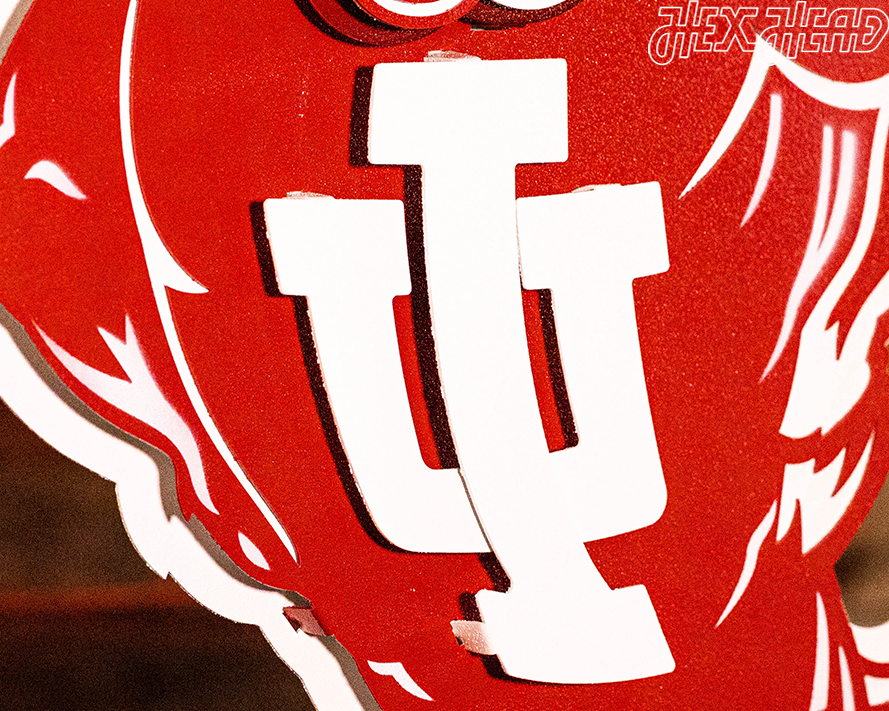 Indiana Hoosiers "1960's BISON" 3D Vintage Metal Wall Art