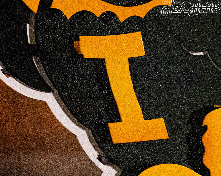 Iowa Mascot HERKY 3D Metal Wall Art