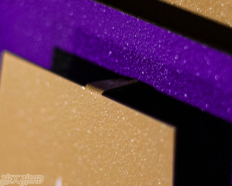 James Madison JMU 3D Metal Wall Art