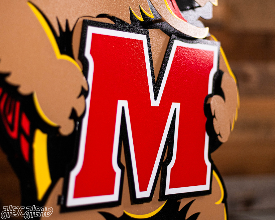 Maryland Terrapins "Testudo" 3D Vintage Metal Wall Art