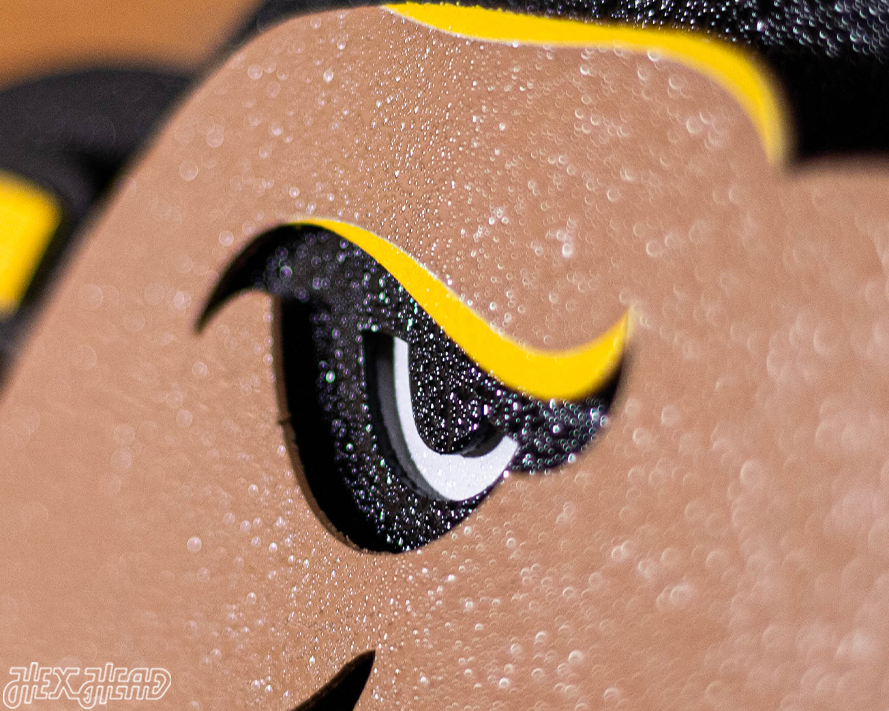 Maryland Terrapins "Testudo" 3D Vintage Metal Wall Art