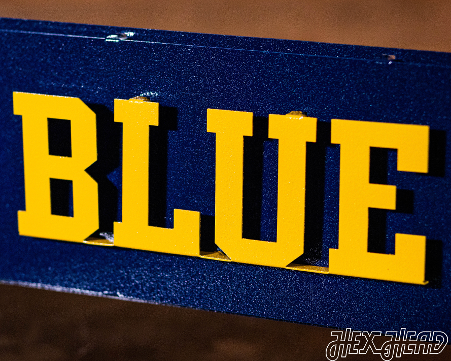 Michigan "GO BLUE!" 3D Metal Wall Art