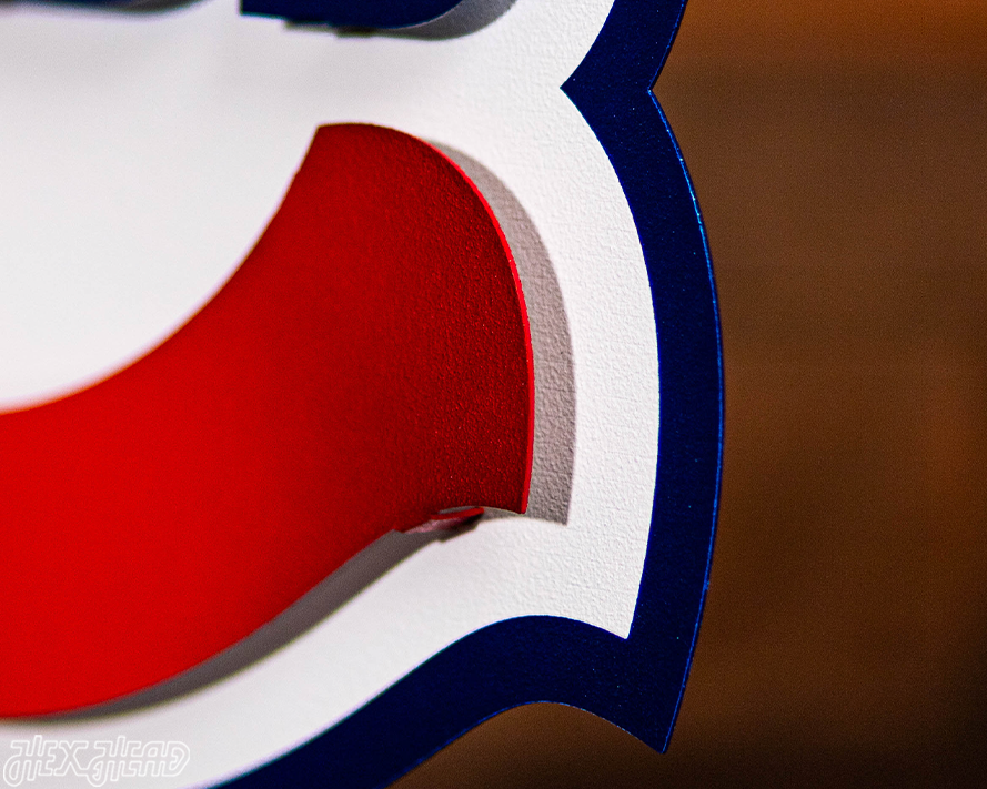 Chicago Cubs Alternate Logo 3D Metal Wall Art