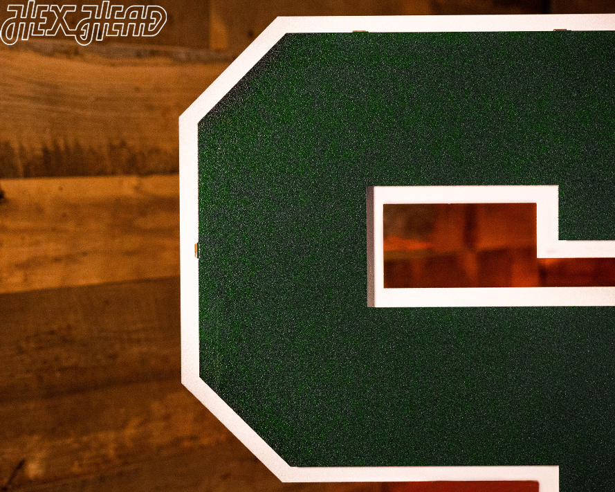 Michigan State "S" 3D Vintage Metal Wall Art