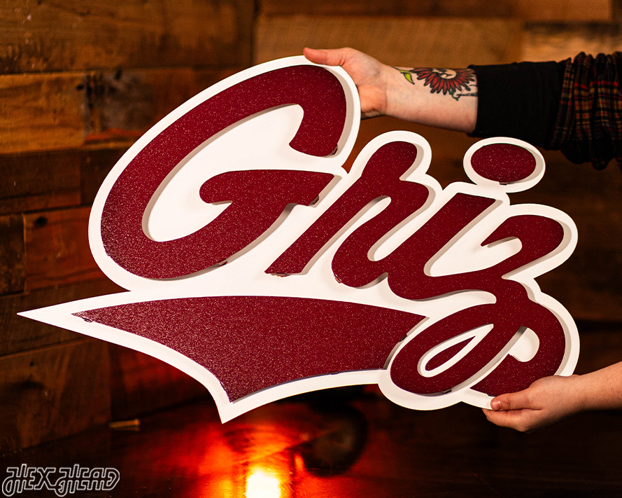 Montana Grizzlies 3D Metal Wall Art