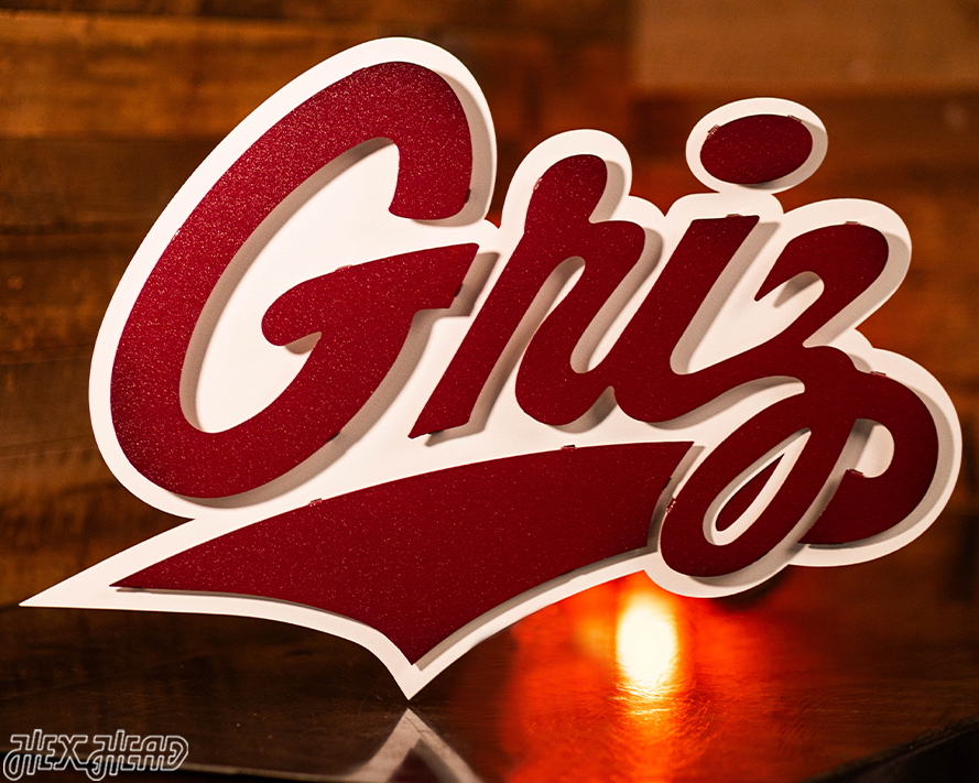 Montana Grizzlies 3D Metal Wall Art