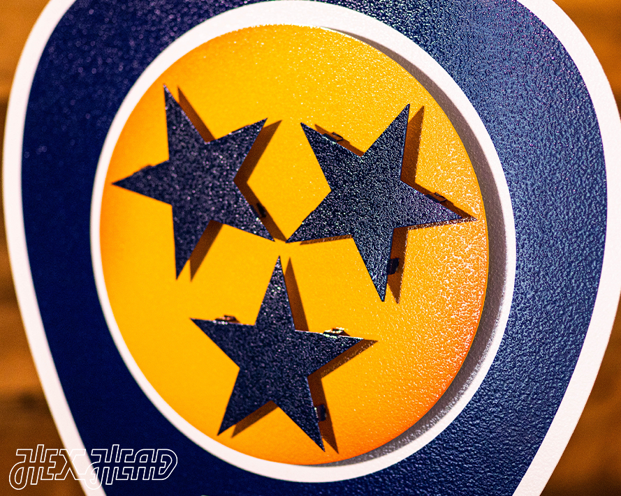 Nashville Predators 3D Vintage Metal Wall Art