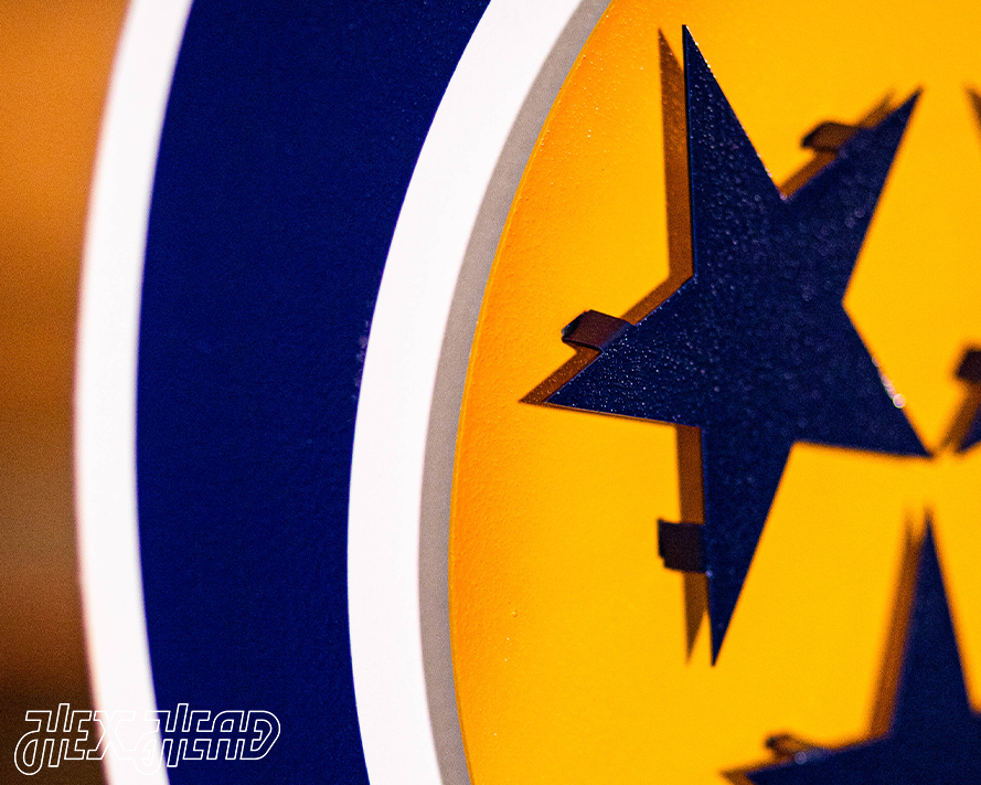 Nashville Predators 3D Vintage Metal Wall Art