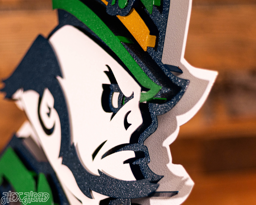 Notre Dame Fighting Irish Football Leprechaun 3D Vintage Metal Wall Art