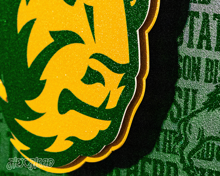 North Dakota State CRAFT SERIES 3D Embossed Metal Wall Art