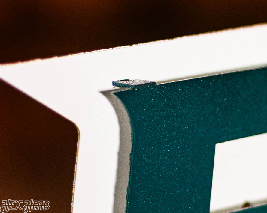 Philadelphia Eagles "EAGLES" 3D Vintage Metal Wall Art