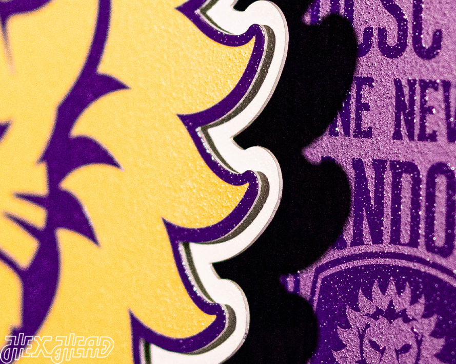 CLOSE OUT - Orlando City CRAFT SERIES 3D Embossed Metal Wall Art