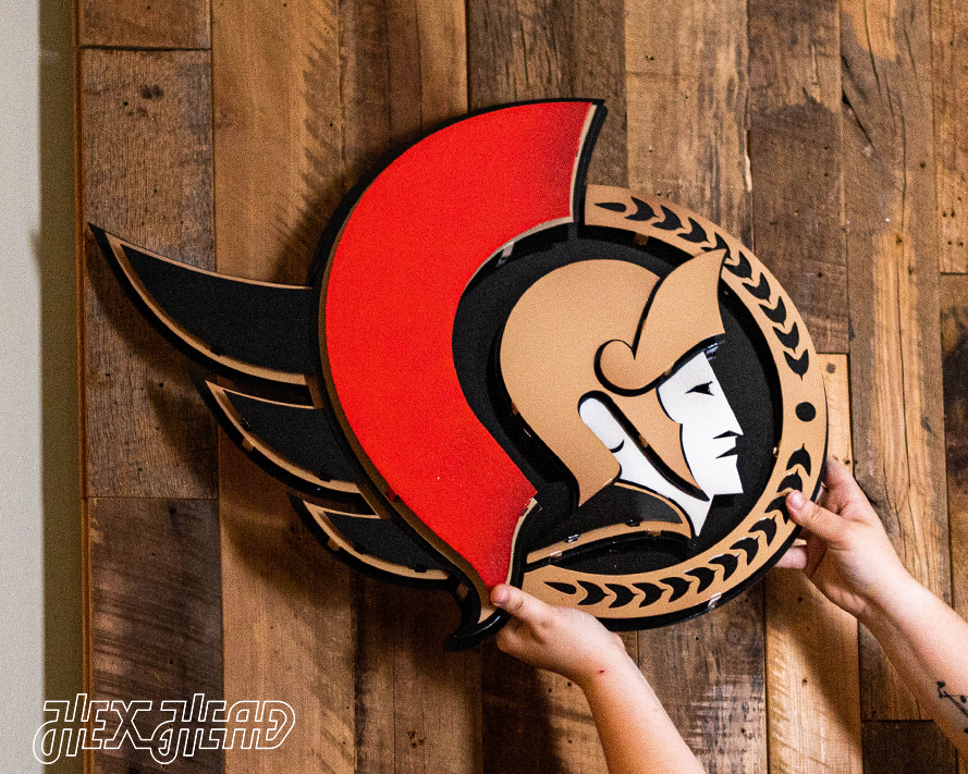 Ottawa Senators 3D Vintage Metal Wall Art