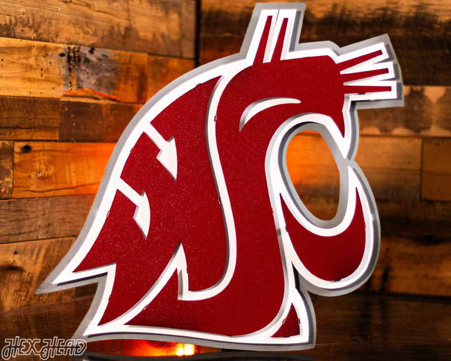 Washington State Cougars 3D Vintage Metal Wall Art