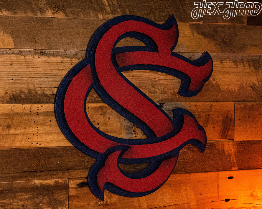 South Carolina Baseball Logo 3D Vintage Metal Wall Art