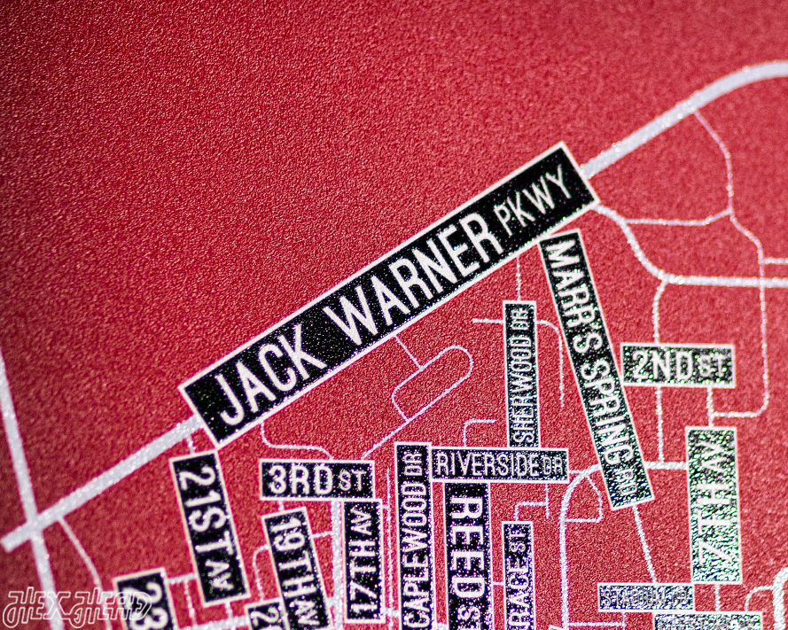 Tuscaloosa, Alabama School Street Poster Single Layer Metal Wall Art