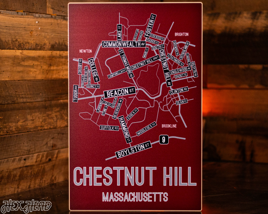 Chestnut Hill, Massachusetts School Street Poster Single Layer Metal Wall Art