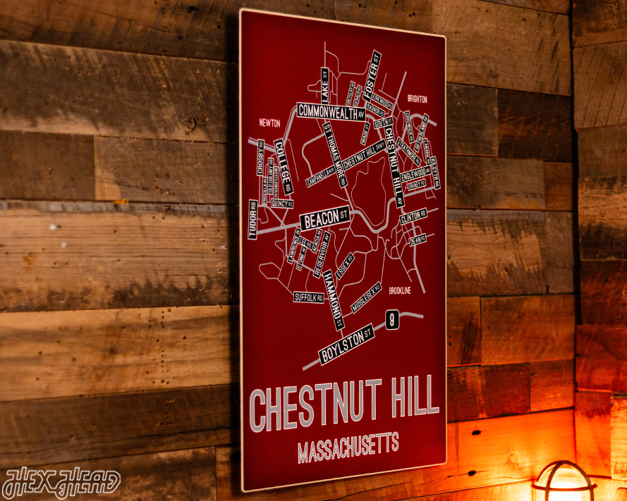 Chestnut Hill, Massachusetts School Street Poster Single Layer Metal Wall Art