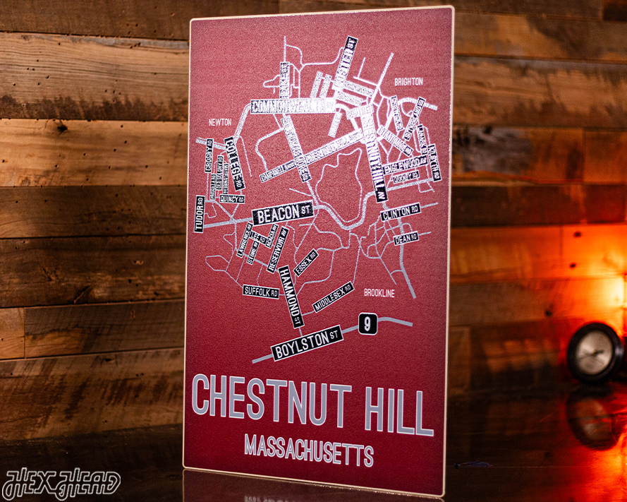 Chestnut Hill, Massachusetts School Street Poster Single Layer Metal Wall Art
