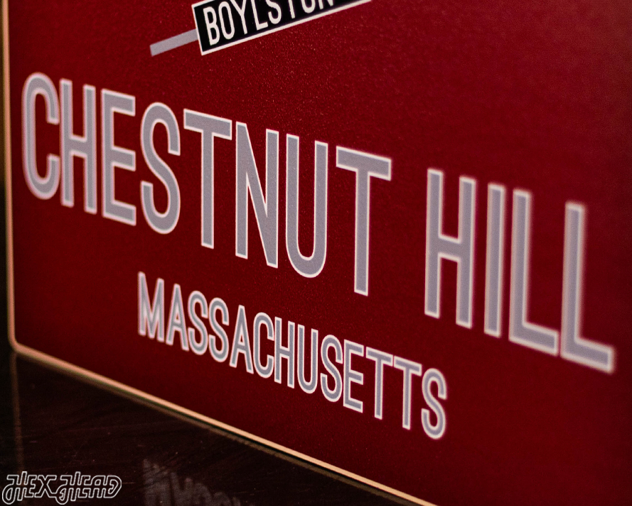 Chestnut Hill, Massachusetts School Street Poster Single Layer Metal Wall Art