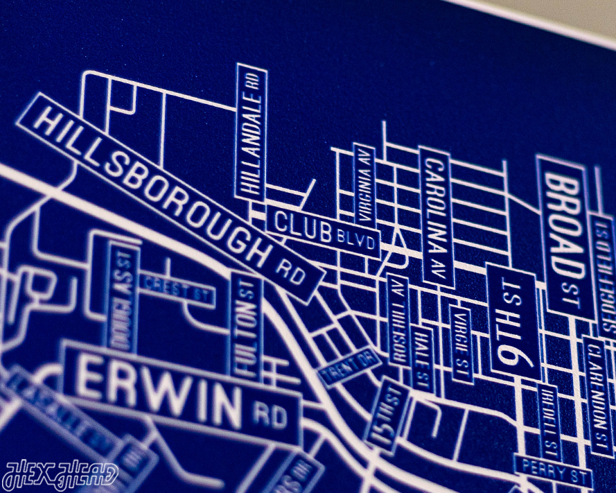 Durham, North Carolina School Street Poster Single Layer Metal Wall Art