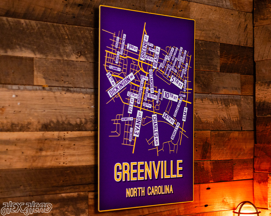 Greenville, North Carolina School Street Poster Single Layer Metal Wall Art
