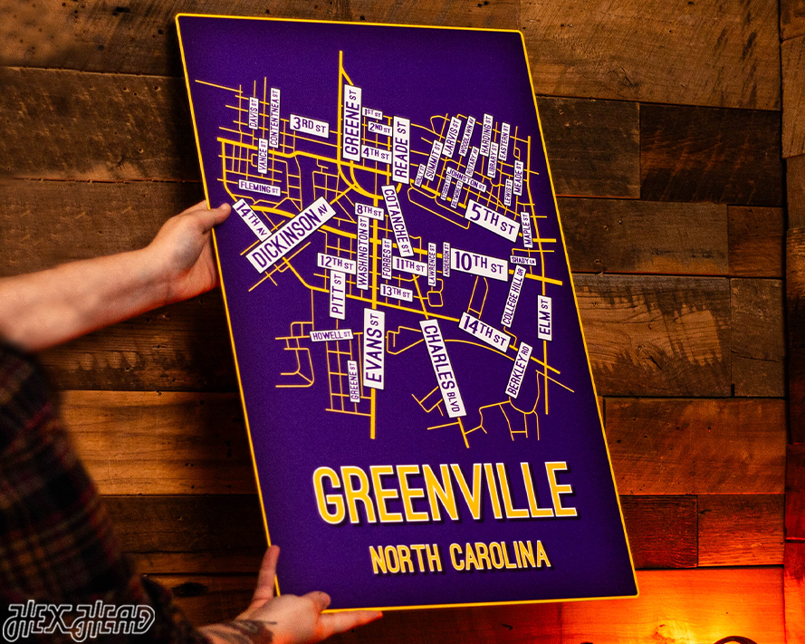 Greenville, North Carolina School Street Poster Single Layer Metal Wall Art