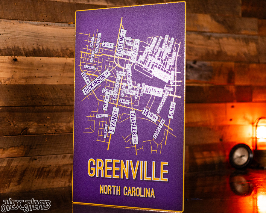 Greenville, North Carolina School Street Poster Single Layer Metal Wall Art