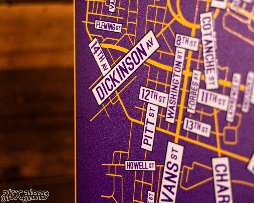 Greenville, North Carolina School Street Poster Single Layer Metal Wall Art